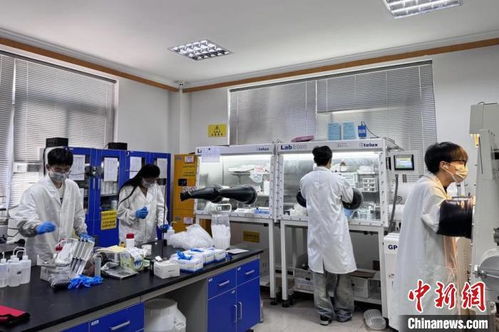 中國高校創新突破 鋰電再生隔膜新材料研發引領綠色能源未來